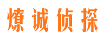 泾川市侦探公司